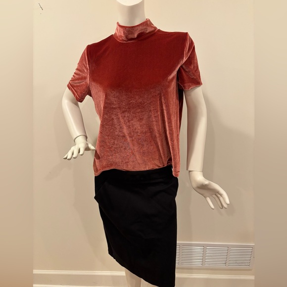 Madewell Women’s Burnished Rust Velvet Mockneck Tee, size L - Picture 3 of 13